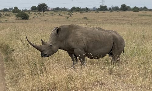 Nairobi NP